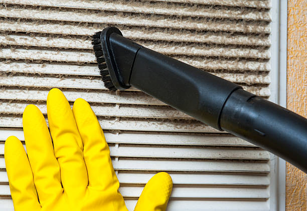 Best Home Air Vent Cleaning  in Martinsville, VA